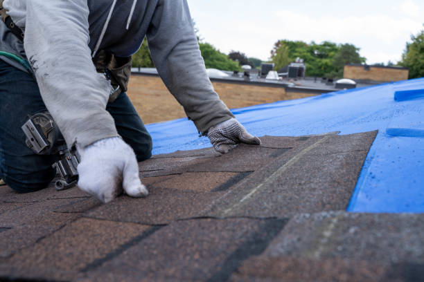 Gutter Installation and Roofing in Lemont, IL