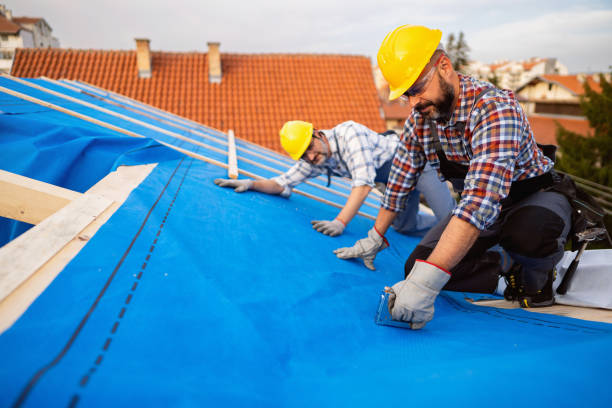 Best Metal Roofing Contractor  in Lemont, IL