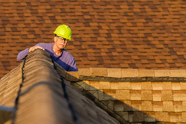 Best Flat Roof Repair Services  in Lemont, IL