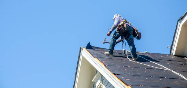 Roof Gutter Cleaning in Lemont, IL